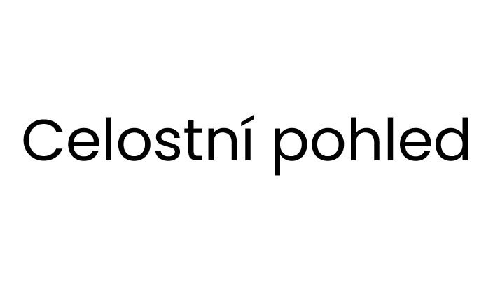 Celostní pohled na jedince