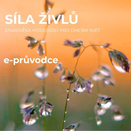 e-průvodce čtyři živly