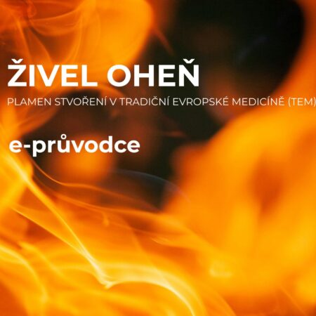 e-průvodce živel oheň