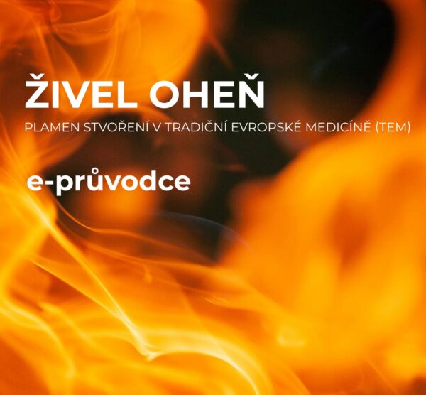 e-průvodce živel oheň